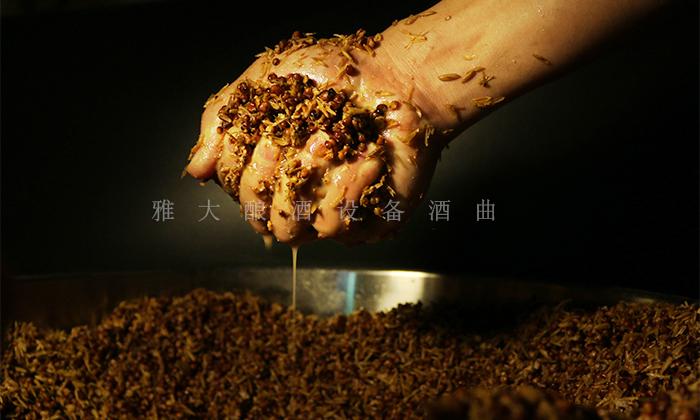 小麦和高粱混合发酵